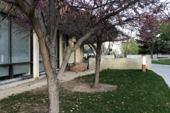 Salt Lake City, Utah, USA, 2019